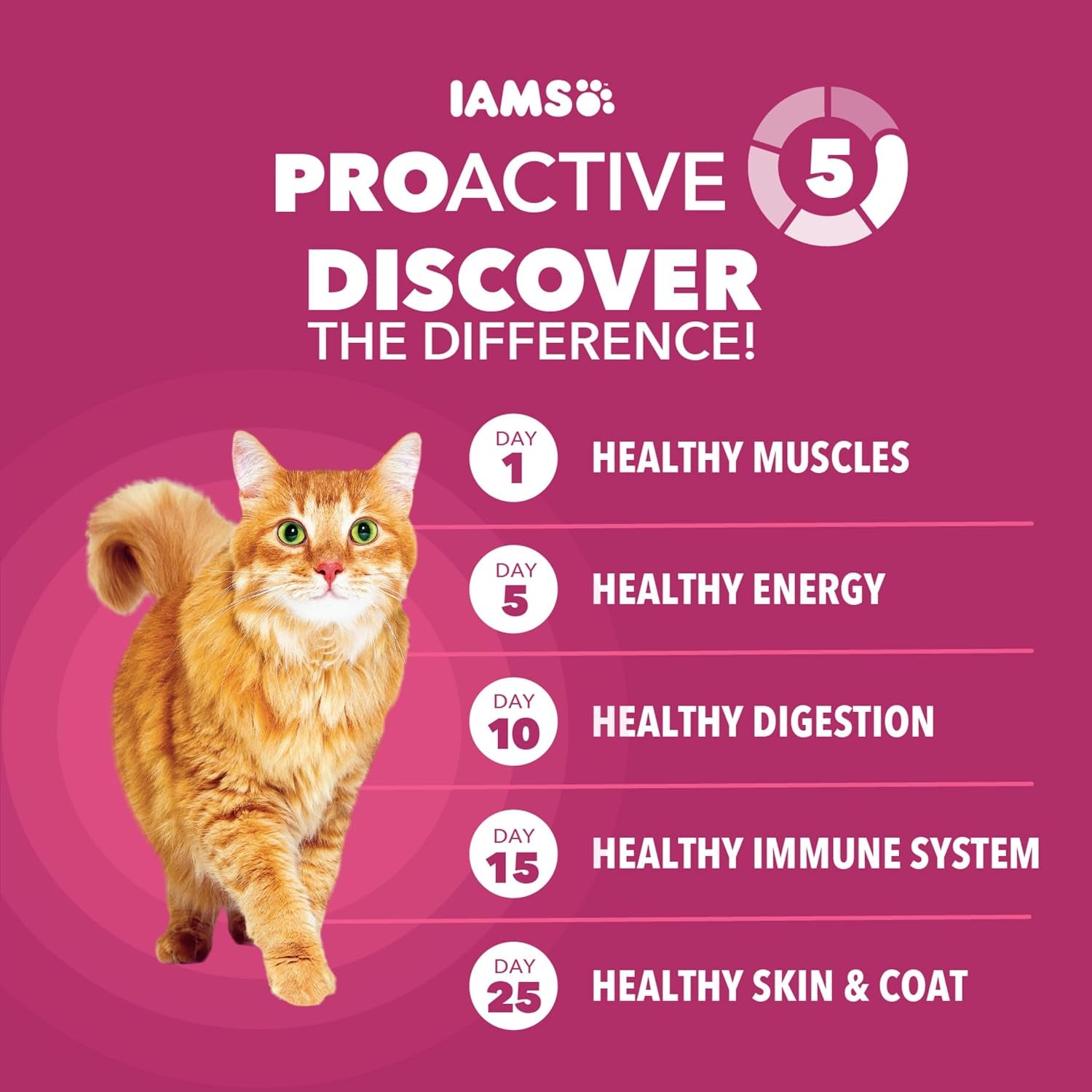 Proactive Health Urinary Tract Health Dry Cat Food, Chicken, 16 Lb | Veterinarian-Recommended, Real Chicken #1 Ingredient, Reduces Urinary Ph, Antioxidants, Antioxidants for Immune Support