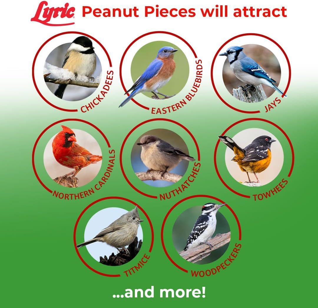 Peanut Pieces Wild Bird Seed 15 Lb Bag - Shelled Peanuts Wild Bird Food for outside Feeders - Attracts Titmice, Woodpeckers, Chickadees & More |  Peanut Pieces Wild Bird Seed - Shelled Peanuts, 15 Lb. Bag