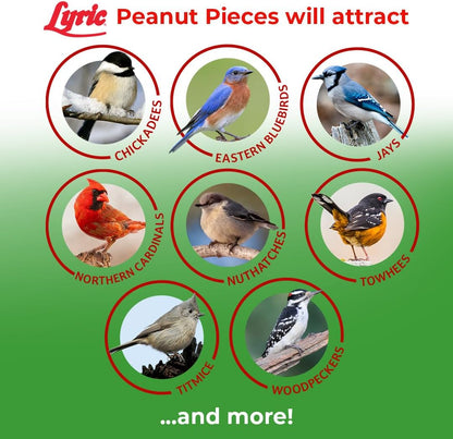 Peanut Pieces Wild Bird Seed 15 Lb Bag - Shelled Peanuts Wild Bird Food for outside Feeders - Attracts Titmice, Woodpeckers, Chickadees & More |  Peanut Pieces Wild Bird Seed - Shelled Peanuts, 15 Lb. Bag