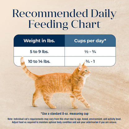 Basics Turkey Grain-Free Dry Cat Food, 11 Lb | Skin & Stomach Care, Real Turkey #1 Ingredient, Limited Ingredient Diet, Antioxidant-Rich Lifesource Bits, Skin & Coat Health