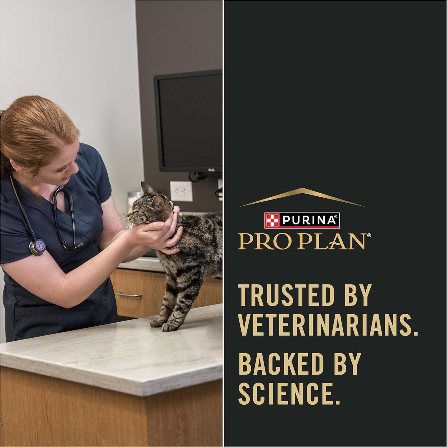 Purina Pro Plan Weight Management Chicken and Rice Adult Formula Dry Cat Food