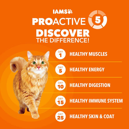 Proactive Health Hairball Dry Cat Food, Chicken & Salmon, 3.5 Lb | Veterinarian-Recommended, Reduces Hairballs, Supports Healthy Digestion, Maintains Healthy Weight, Nourishes Heart