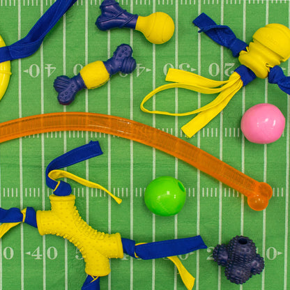 Power Play Crazy-Ball Dog Toy, Dog Balls, Interactive Dog Toys, Large