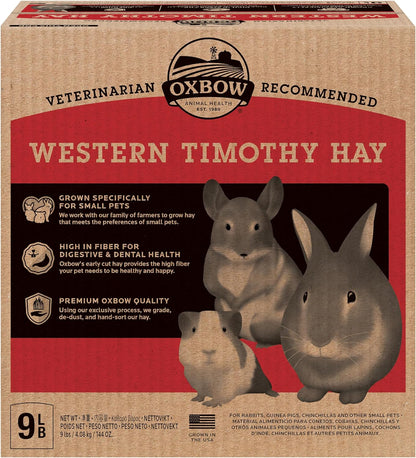 Western Timothy Hay, Guinea Pig Hay, Small Pet Bunny Supplies, All Natural Grass for Guinea Pig, Bunny, Chinchilla & Hamster,  Rabbit Supplies for Bunnies, 9 Lb Box |  Timothy Hay, Bunny Hay for Rabbits, Guinea Pigs, Bunnies and Chinchillas, Hand-Sorted, De-Dusted, Made in USA