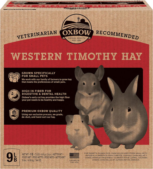 Western Timothy Hay, Guinea Pig Hay, Small Pet Bunny Supplies, All Natural Grass for Guinea Pig, Bunny, Chinchilla & Hamster,  Rabbit Supplies for Bunnies, 9 Lb Box |  Timothy Hay, Bunny Hay for Rabbits, Guinea Pigs, Bunnies and Chinchillas, Hand-Sorted, De-Dusted, Made in USA