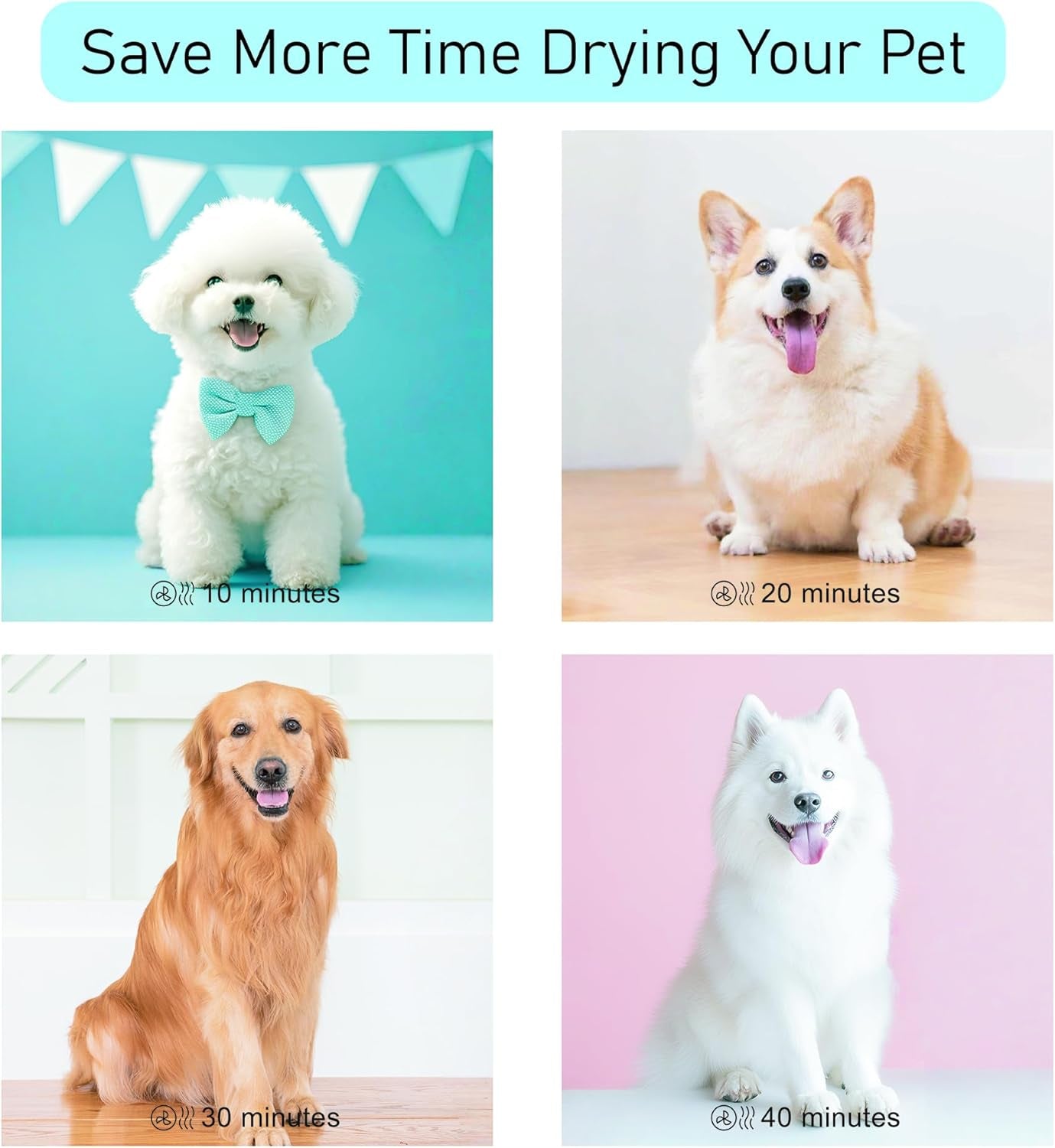 Dog Dryer for Pet Grooming, Pet Hair Dryer with Heater, Pink