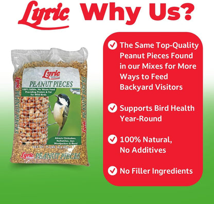 Peanut Pieces Wild Bird Seed 15 Lb Bag - Shelled Peanuts Wild Bird Food for outside Feeders - Attracts Titmice, Woodpeckers, Chickadees & More |  Peanut Pieces Wild Bird Seed - Shelled Peanuts, 15 Lb. Bag
