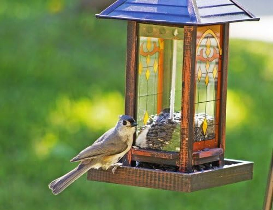 76027 Black Oil Sunflower Wild Bird Food, 25-Pound Bag