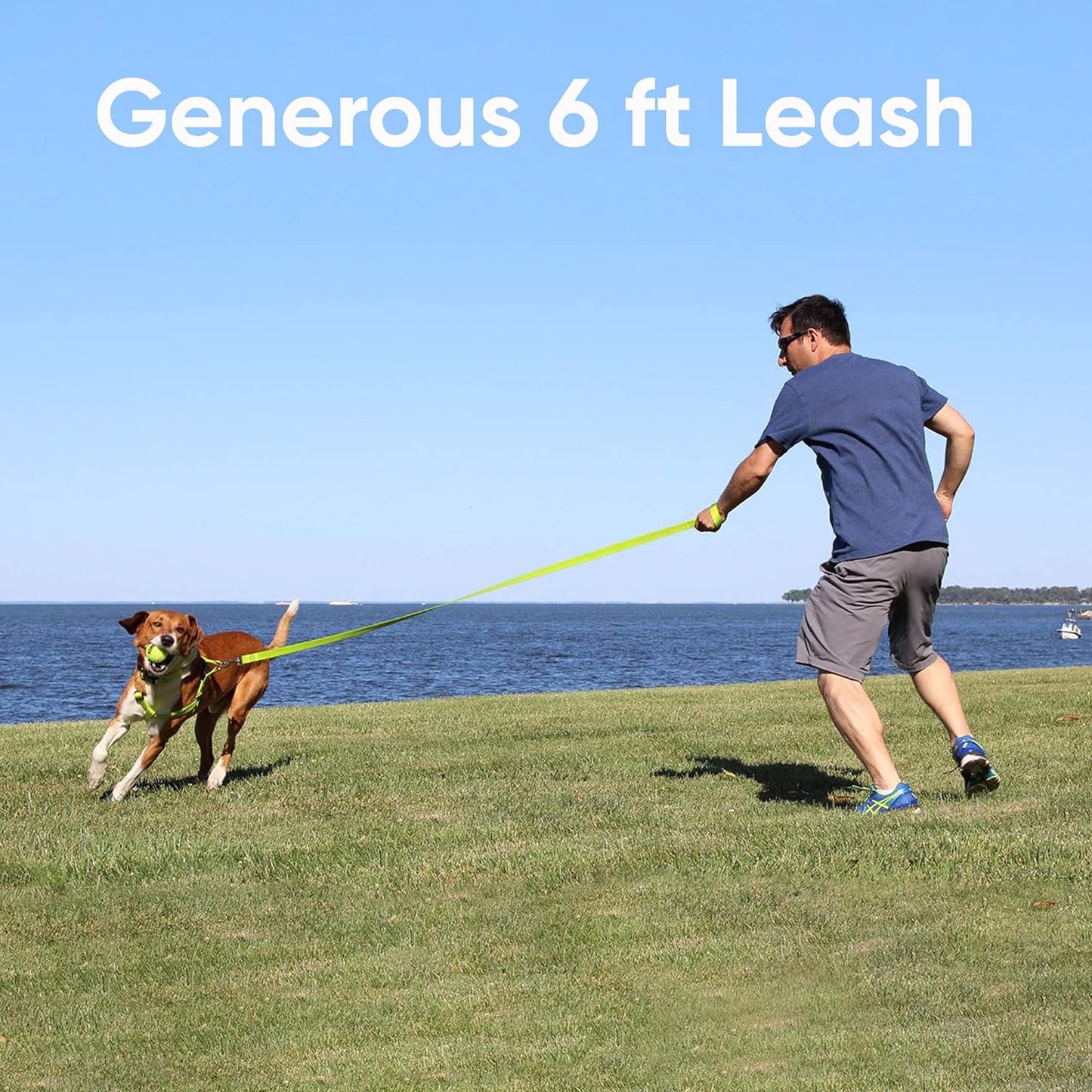 Black Dog Leash 6 Ft XS/S Reflective Durable Lightweight Dog Lead for Small Dogs and Puppies