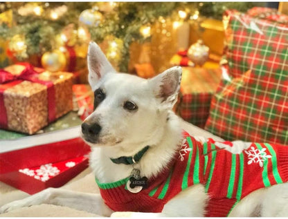 Dog Snow Sweaters - Xmas, Holiday & New Year Sweaters for Small Dog and Cat (Snowman, L)