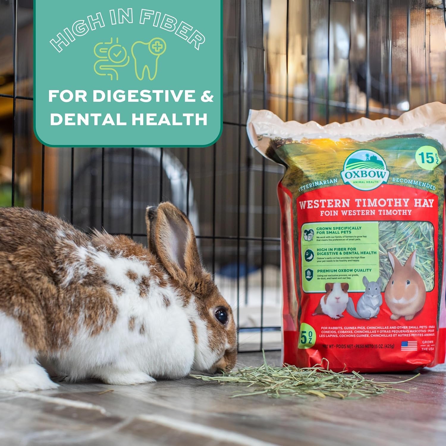 Western Timothy Hay, Guinea Pig Hay, Small Pet Bunny Supplies, All Natural Grass for Guinea Pig, Bunny, Chinchilla & Hamster,  Rabbit Supplies for Bunnies, 9 Lb Box |  Timothy Hay, Bunny Hay for Rabbits, Guinea Pigs, Bunnies and Chinchillas, Hand-Sorted, De-Dusted, Made in USA