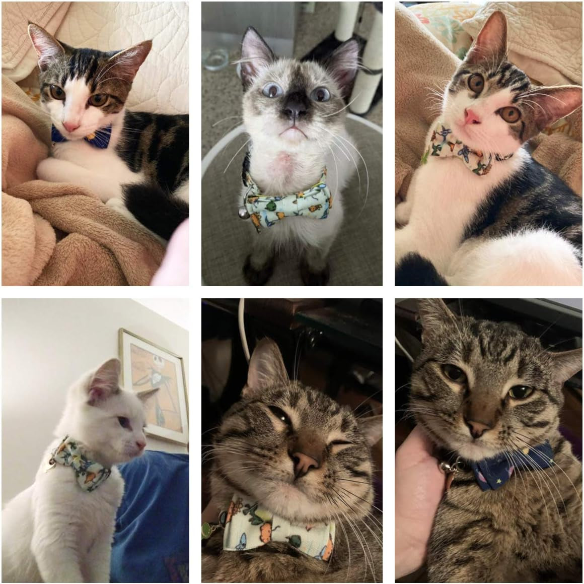 Dinosaur Boy Cat Collar Breakaway with Bow Tie Bell, 2 Pack | Soft Fabric, Safe Breakaway Buckle, Cute Dinosaur & Space Print, Detachable Bowtie & Charm, Adjustable, for Kitten Cat