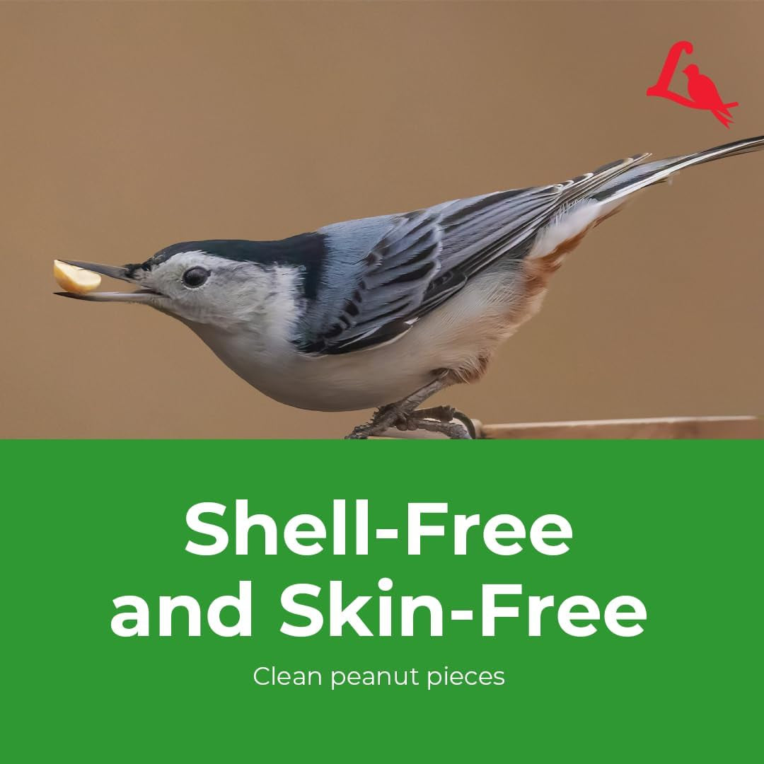 Peanut Pieces Wild Bird Seed 15 Lb Bag - Shelled Peanuts Wild Bird Food for outside Feeders - Attracts Titmice, Woodpeckers, Chickadees & More |  Peanut Pieces Wild Bird Seed - Shelled Peanuts, 15 Lb. Bag