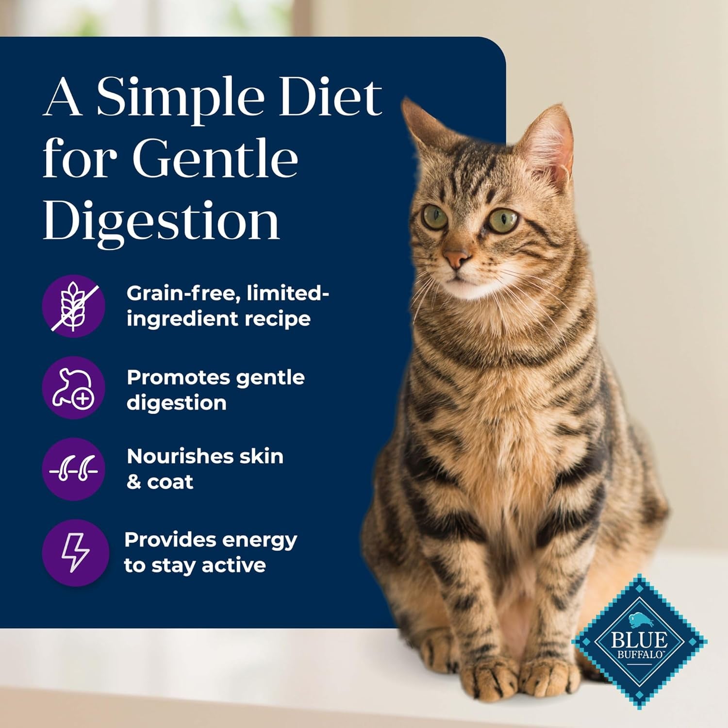 Basics Turkey Grain-Free Dry Cat Food, 11 Lb | Skin & Stomach Care, Real Turkey #1 Ingredient, Limited Ingredient Diet, Antioxidant-Rich Lifesource Bits, Skin & Coat Health