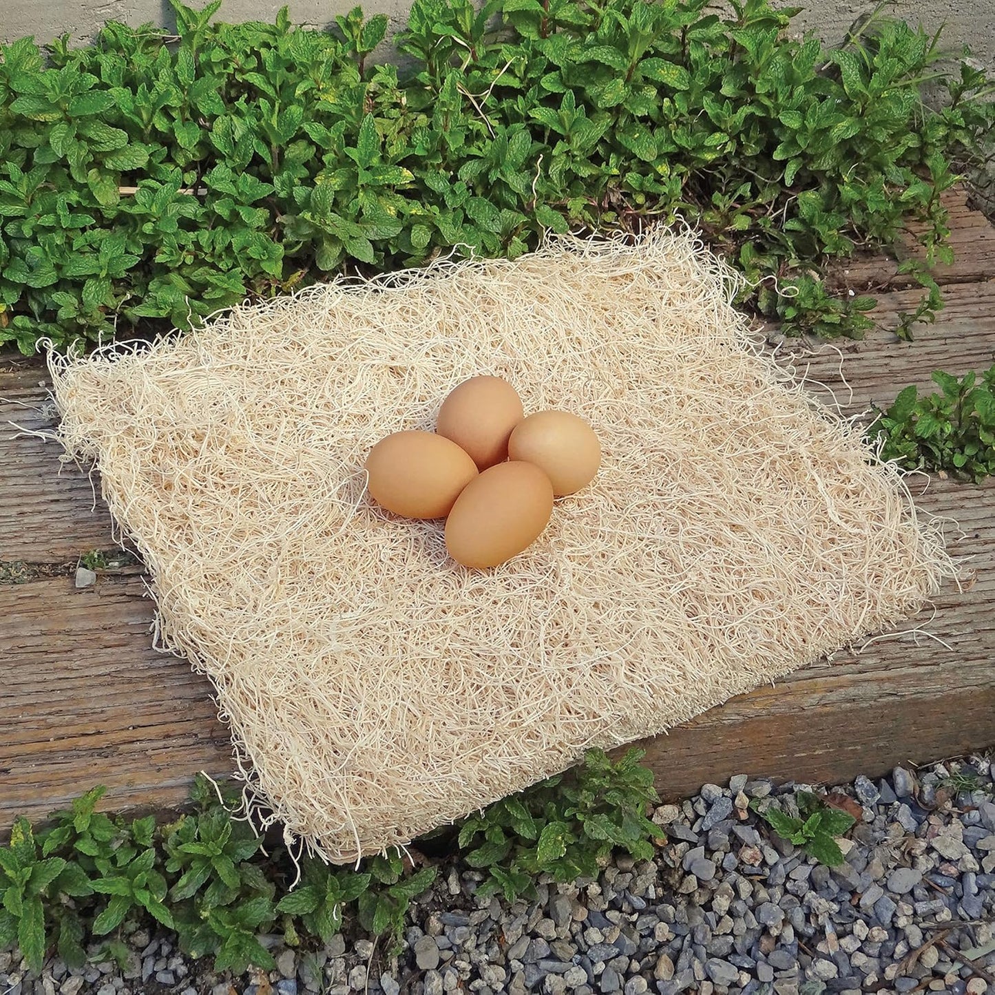 Chicken Nesting Pads by Petmate, 13" X 13", 10 Pack, Beige | Made in USA, Fits Most Standard Coop Boxes, Soft Comfortable Bedding for Hens, Easy Replacement Liner Helps Keep Eggs Clean