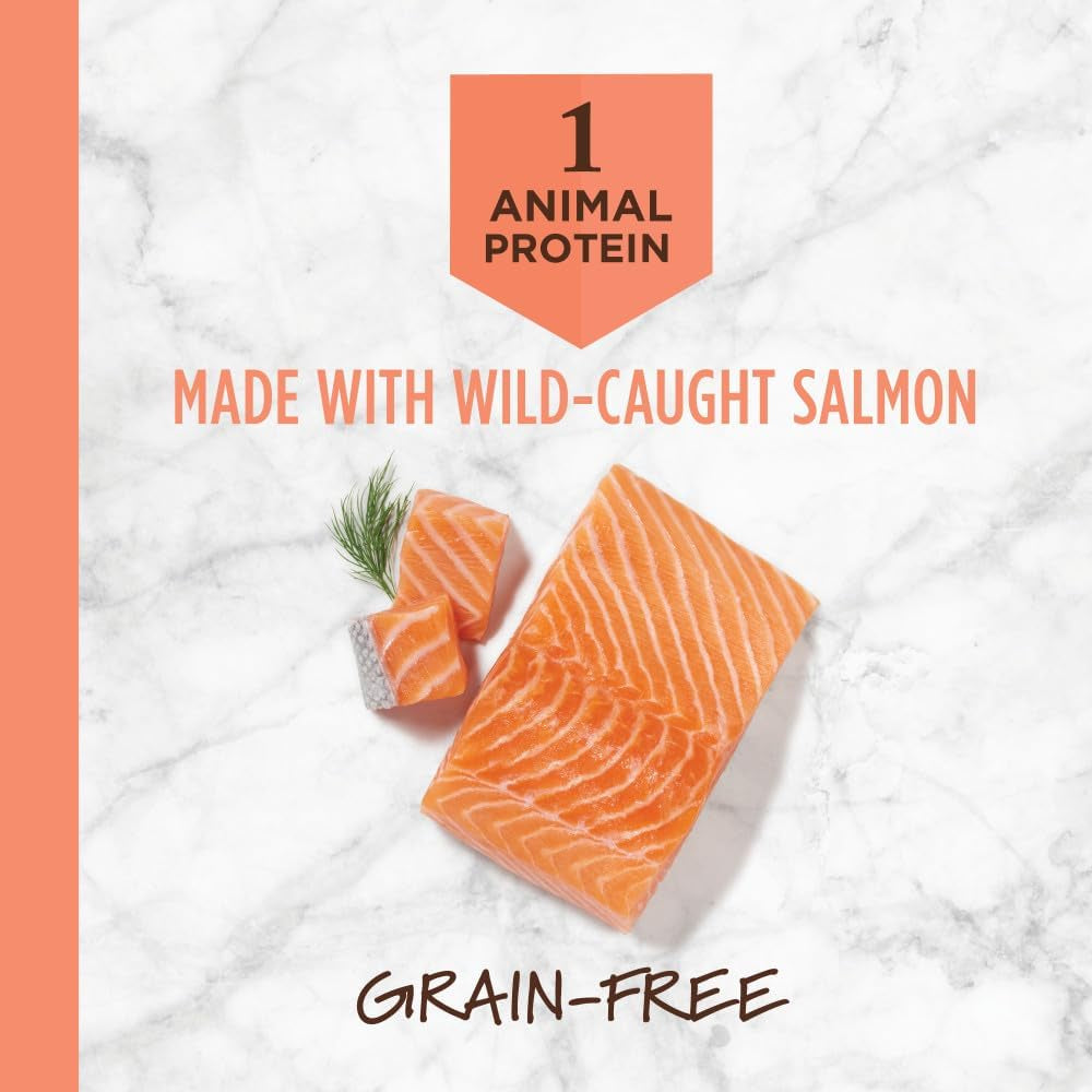 Limited Ingredient Diet Dry Dog Food, Real Salmon, 20 Lb. Bag | Single Animal Protein and Vegetable Recipe, Raw-Coated Kibble, Wild-Caught Salmon, Gentle on Sensitive Stomachs