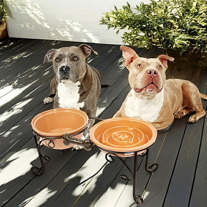 Elevated Dog Bowl Stand with 3 Large Ceramic Bowls – Raised Feeding Station for Medium & Large Dogs, Includes 2 Standard Bowls + 1 Slow Feeder, Durable Iron Frame, Non-Slip (Almond)