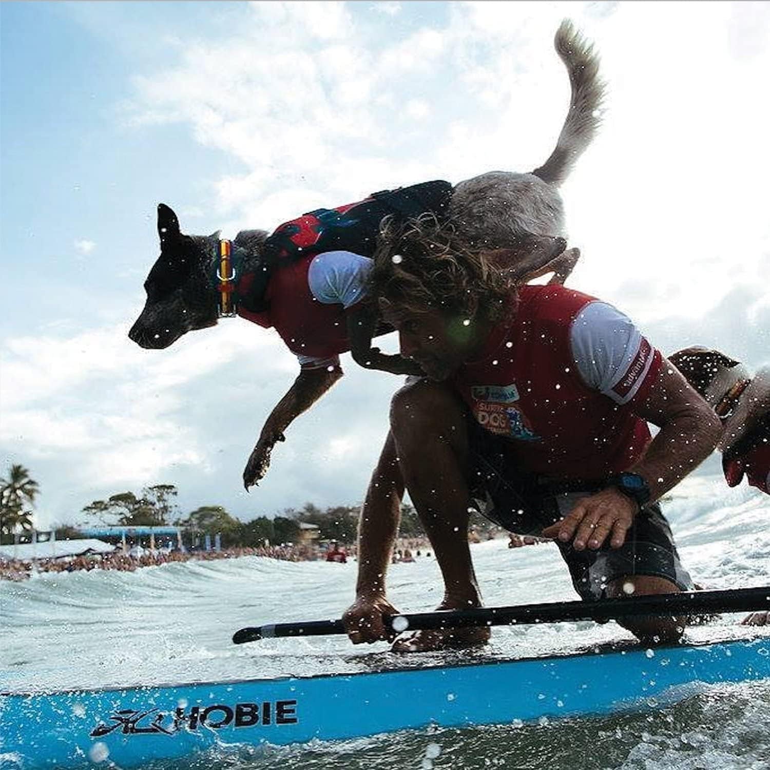DFD Dog Life Jacket, Dog Life Vest for Swimming - Small, Red | Adjustable Dog Swim Vest, Padded Neoprene Straps, Grab Handle, 50% More Flotation Material, Reflective Trim, Stays Upright
