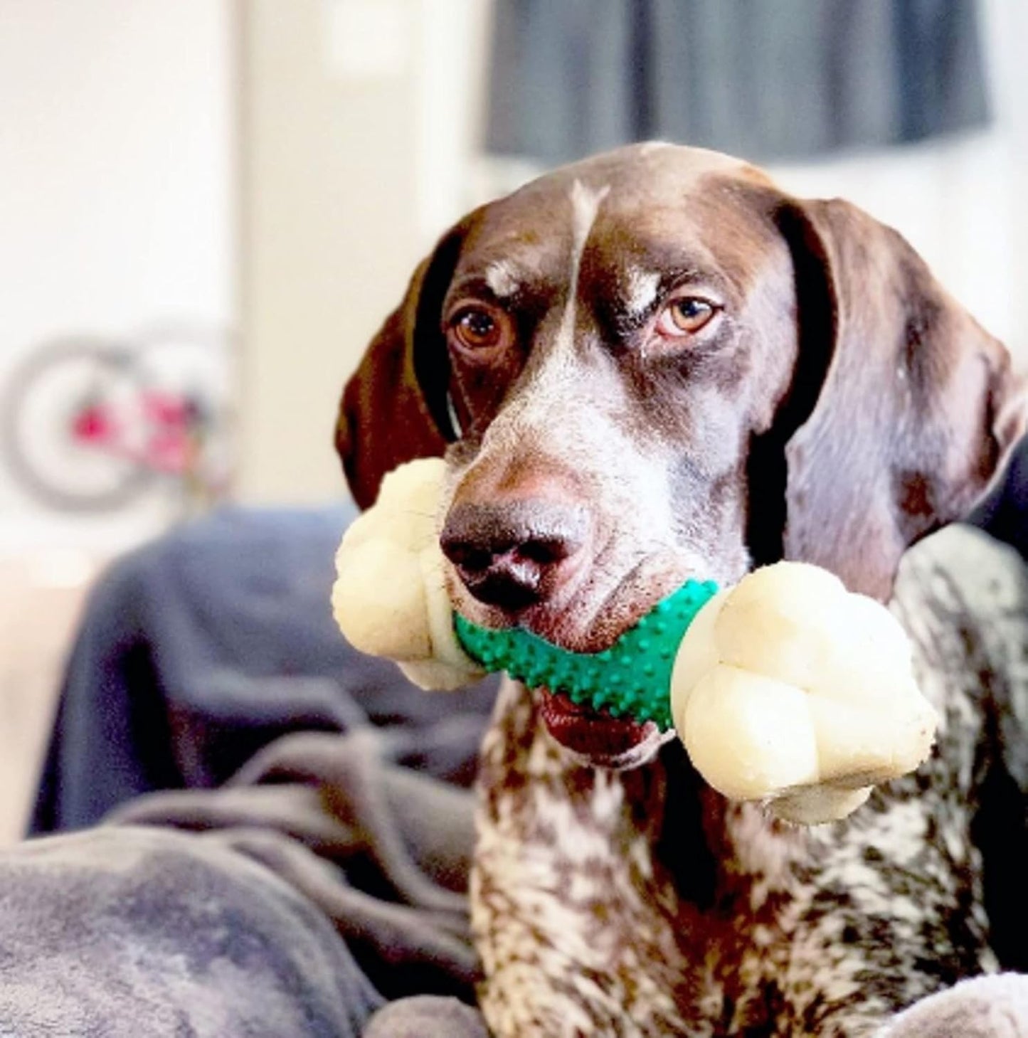 Power Chew Double Action Barbell Bone Dog Chew Toy, X-Large | Durable Dog Toy for Large Dog Breeds 50+ Lbs, Teeth-Cleaning Textures, Long Lasting, Discourages Destructive Chewing