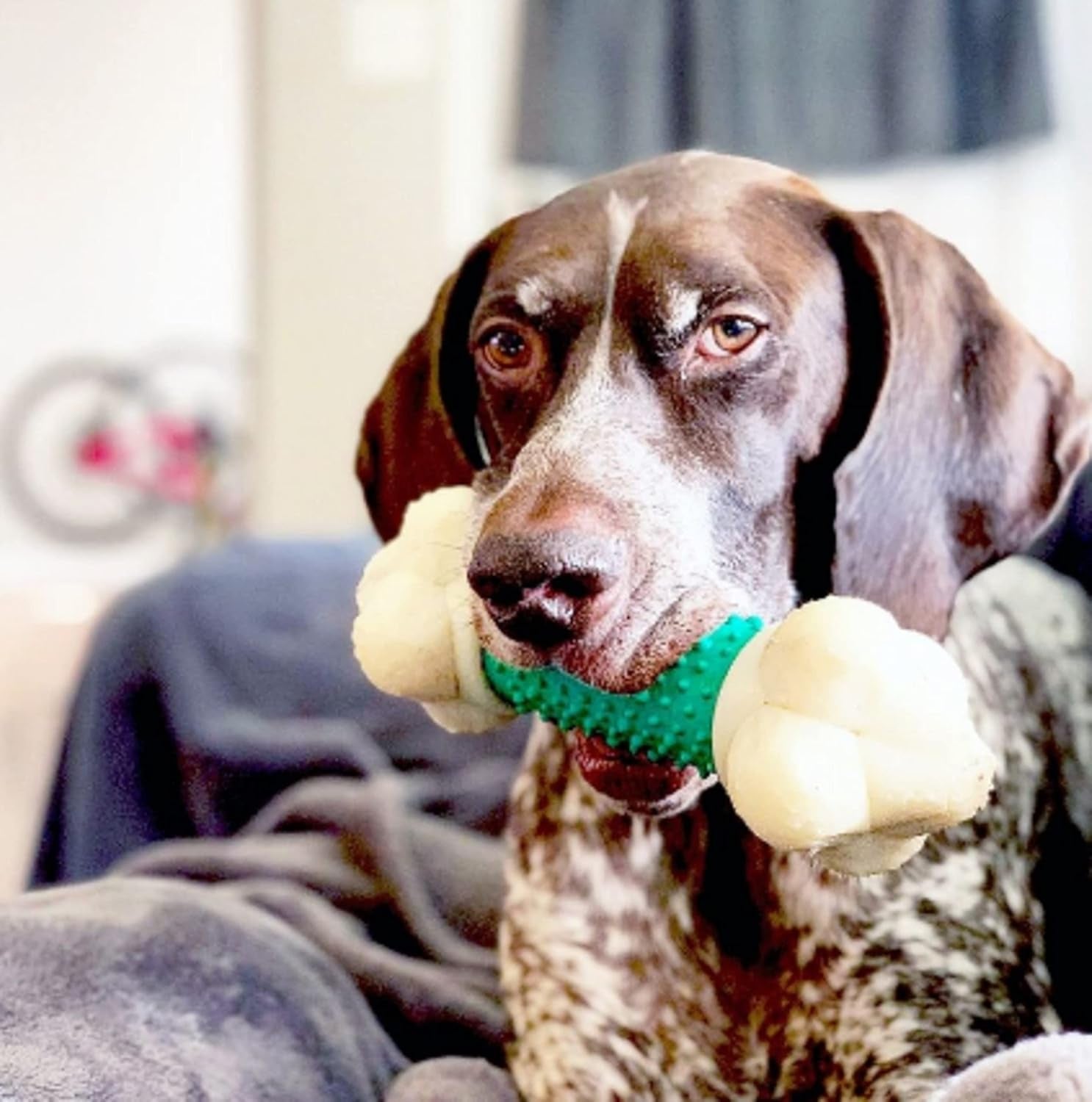Power Chew Double Action Barbell Bone Dog Chew Toy, X-Large | Durable Dog Toy for Large Dog Breeds 50+ Lbs, Teeth-Cleaning Textures, Long Lasting, Discourages Destructive Chewing