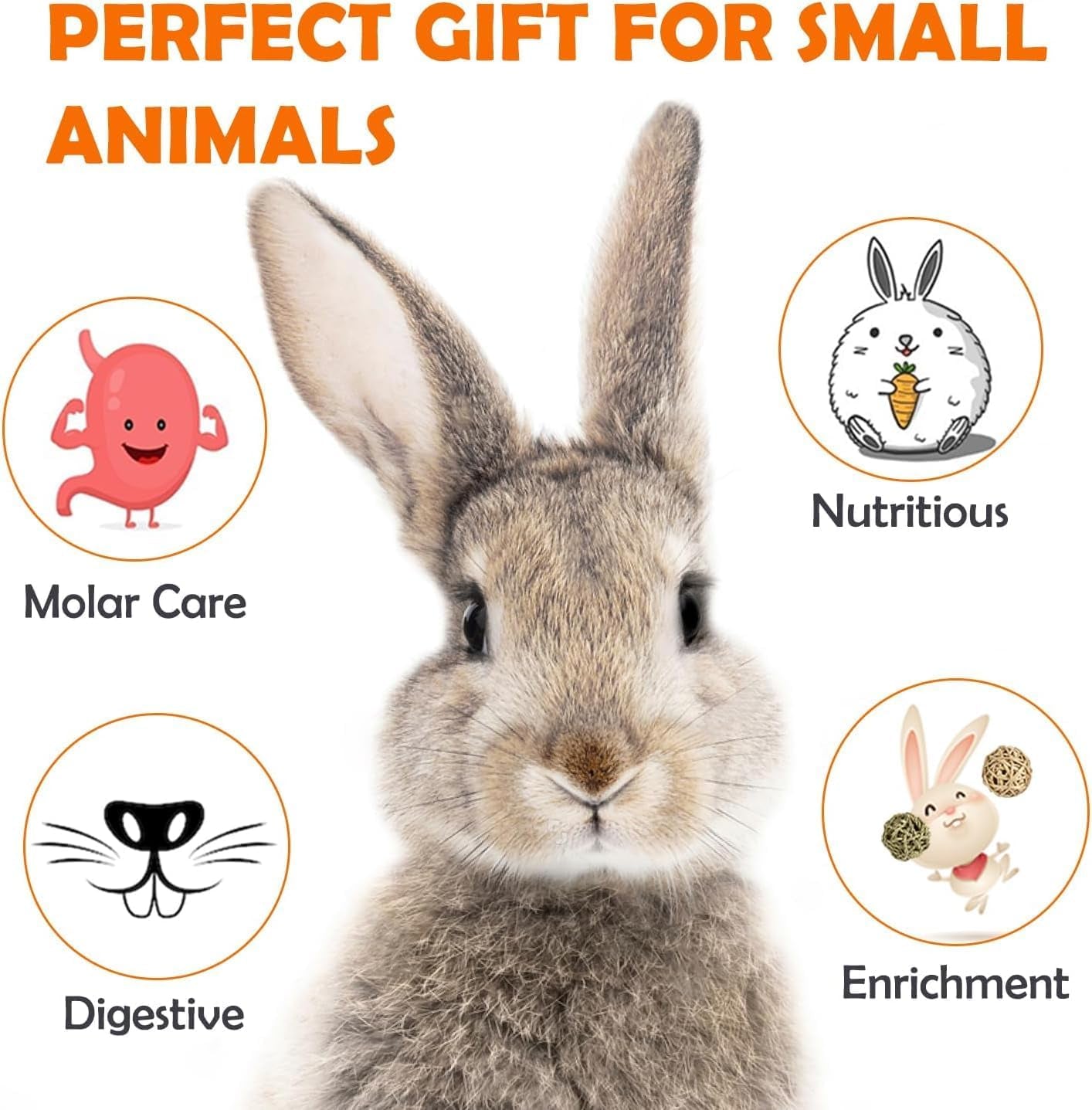 16Pcs Timothy Hay Treats - Natural Chews for Teeth - Handmade Rabbit, Chinchilla, Gerbil, Rat, Hamster Toys - Bunny & Guinea Pig