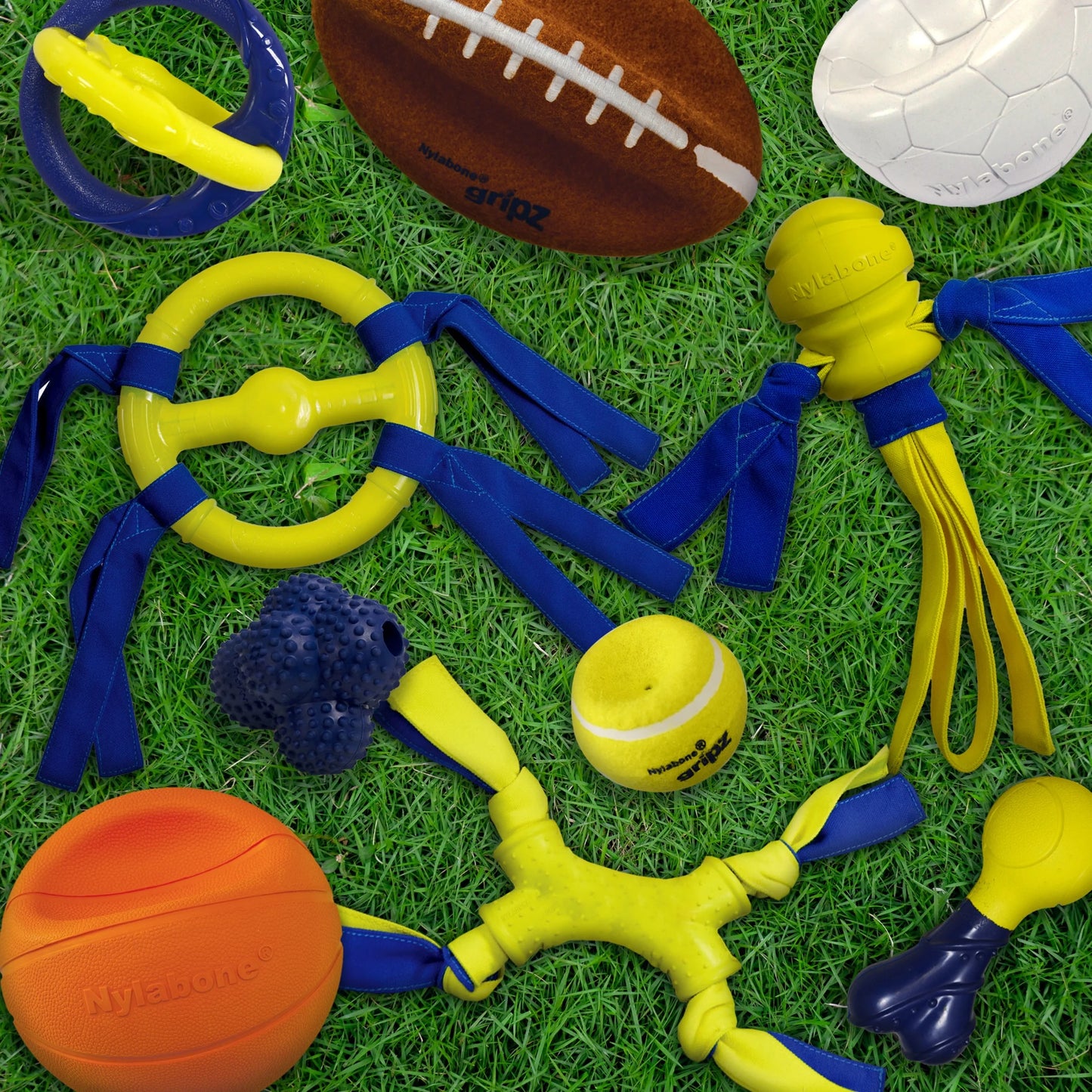 Power Play Crazy-Ball Dog Toy, Dog Balls, Interactive Dog Toys, Large