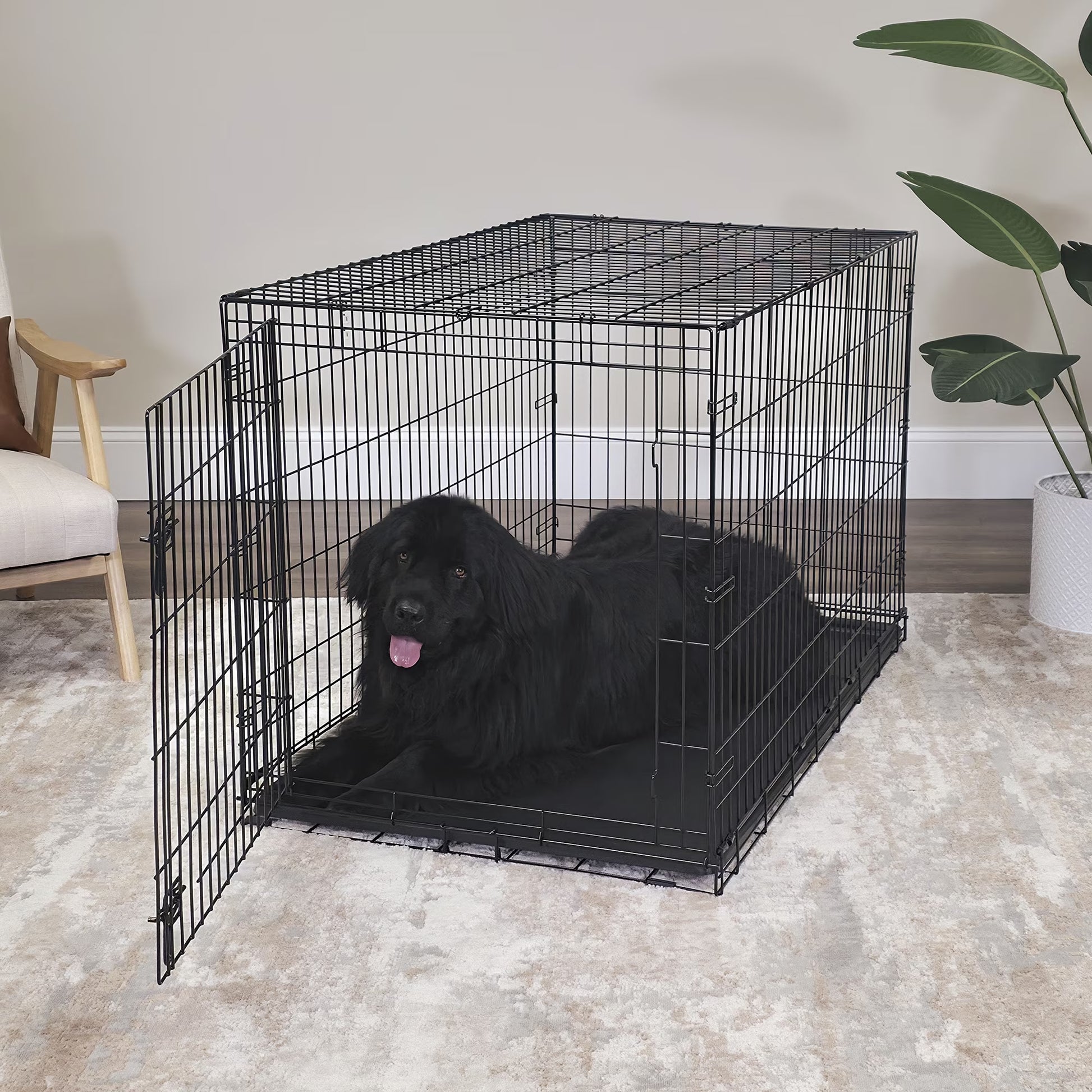 Foldable 48" Wire Crate for Dogs with Divider and Leak-Proof Tray