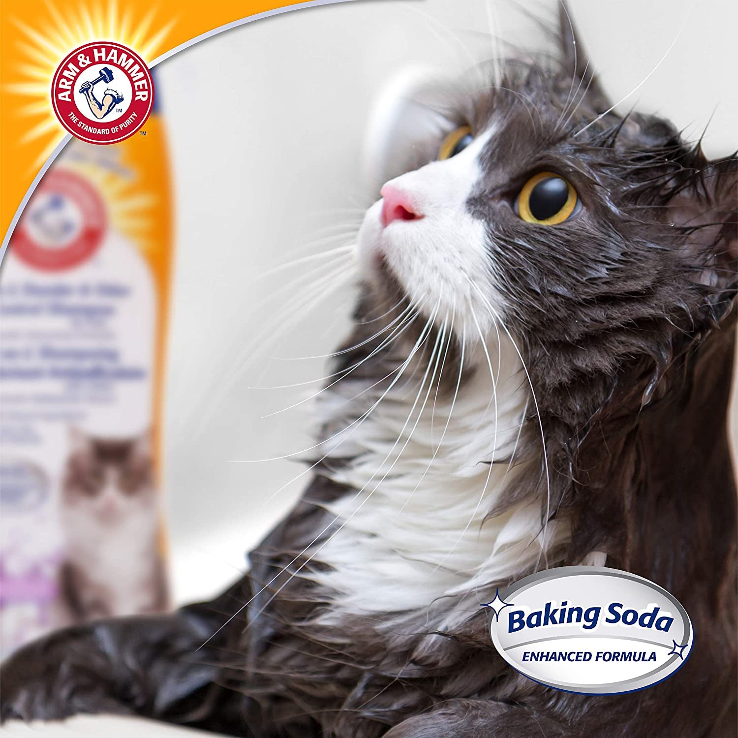 2-In-1 Deodorizing Cat Shampoo, Lavender Chamomile, 20 Fl Oz | Baking Soda Formula Reduces Dander While Cleaning and Deodorizing the Coat in One Wash