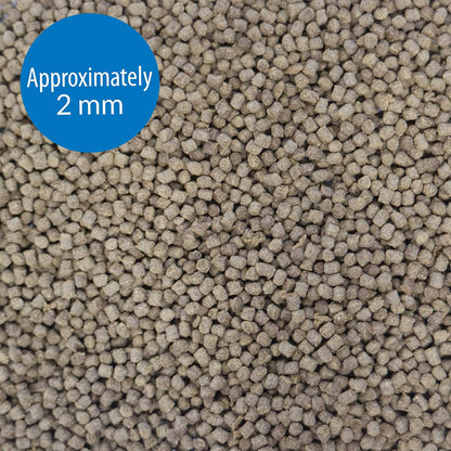 TROPICAL PELLETS Sinking Pellets Fish Food 4.2-Ounce Container, Medium (823B)