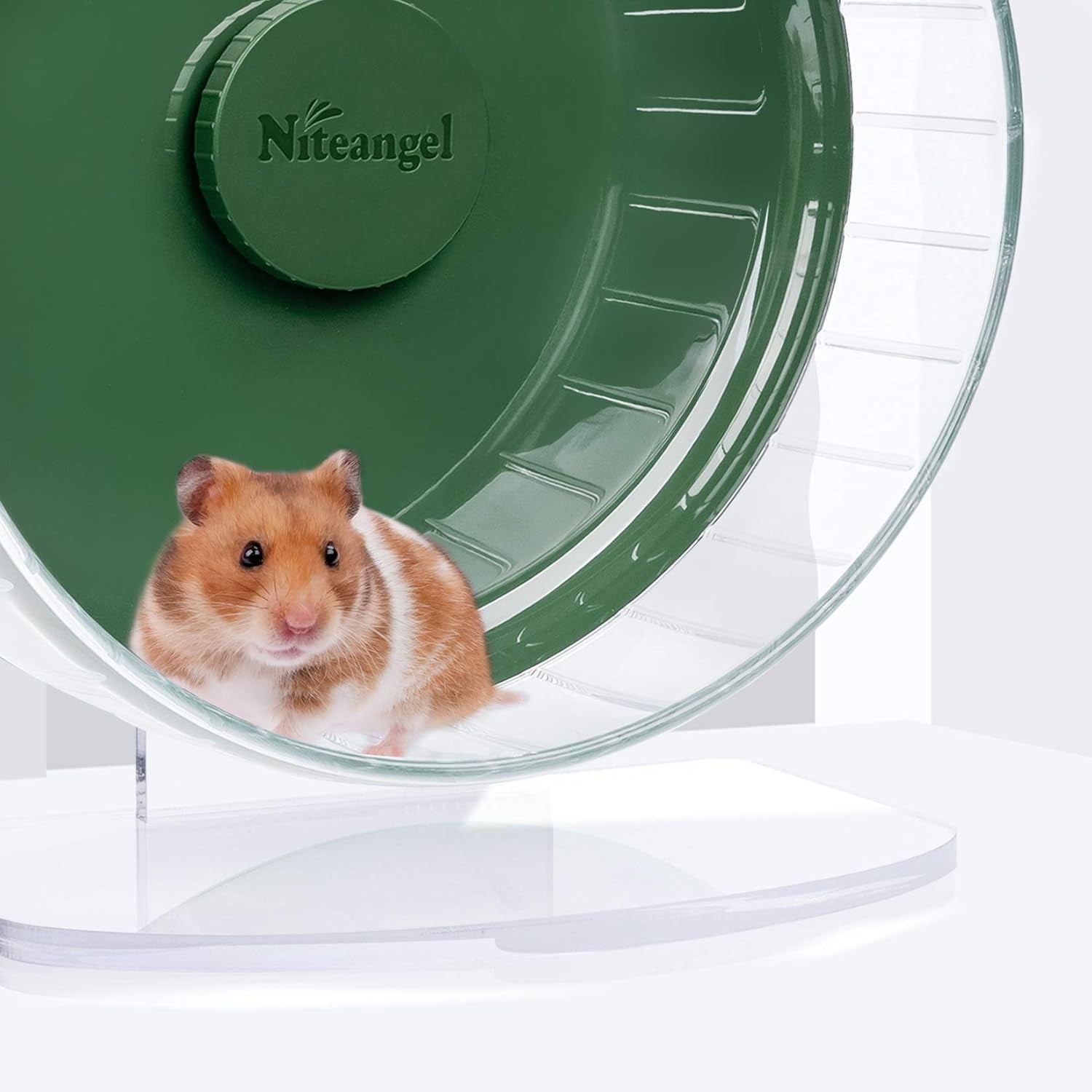Super-Silent Hamster Exercise Wheels: Quiet 10 Inch Running Wheel | Can 10.6-13.4" Adjustable Height - No Bend Back Spinner Running for Dwarf Syrian Hamster Gerbils Mice or Other Small Animal