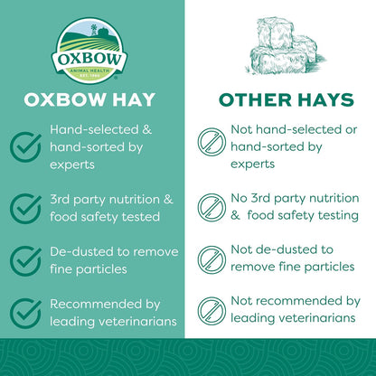 Western Timothy Hay, Guinea Pig Hay, Small Pet Bunny Supplies, All Natural Grass for Guinea Pig, Bunny, Chinchilla & Hamster,  Rabbit Supplies for Bunnies, 9 Lb Box |  Timothy Hay, Bunny Hay for Rabbits, Guinea Pigs, Bunnies and Chinchillas, Hand-Sorted, De-Dusted, Made in USA