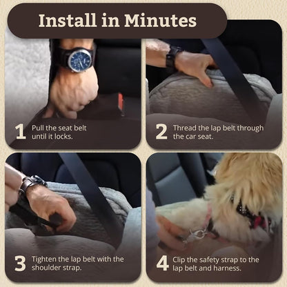 PET Products Lookout 1 Dog CAR SEAT, Birch Diamond, Small | Dog Booster Car Seat, Elevated View Helps Alleviate Travel Sickness & Fear, Removable Washable Cover, USA Family Company