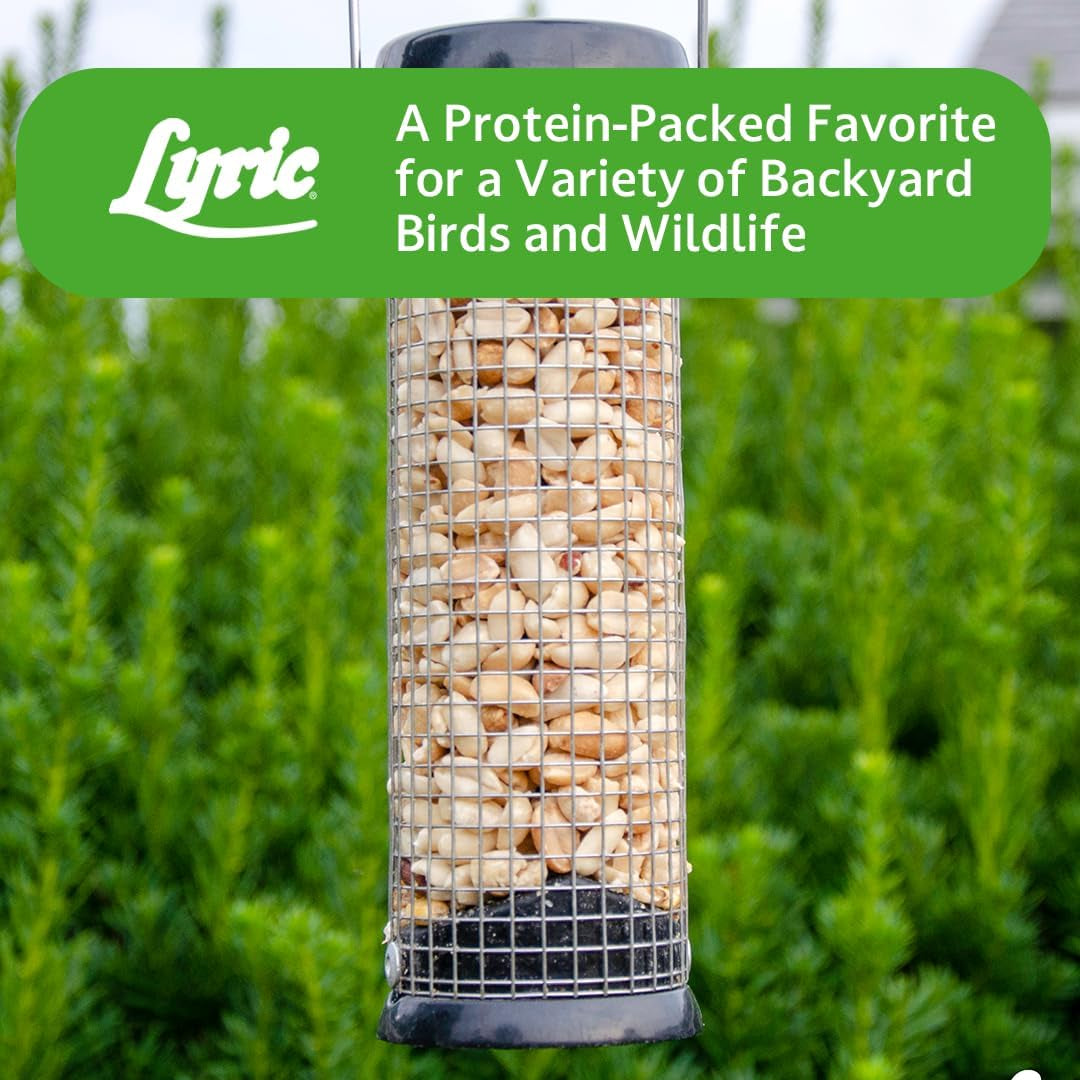 Peanut Pieces Wild Bird Seed 15 Lb Bag - Shelled Peanuts Wild Bird Food for outside Feeders - Attracts Titmice, Woodpeckers, Chickadees & More |  Peanut Pieces Wild Bird Seed - Shelled Peanuts, 15 Lb. Bag