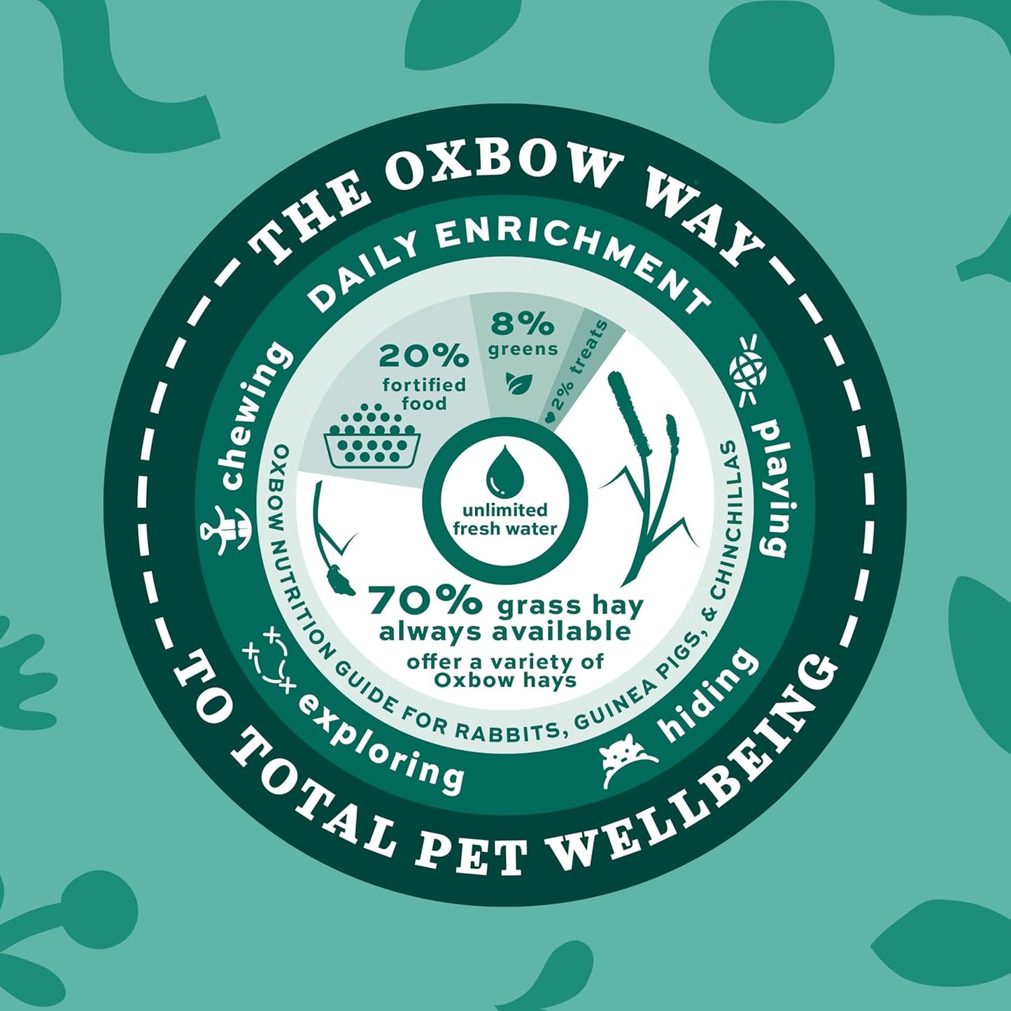 Western Timothy Hay, Guinea Pig Hay, Small Pet Bunny Supplies, All Natural Grass for Guinea Pig, Bunny, Chinchilla & Hamster,  Rabbit Supplies for Bunnies, 9 Lb Box |  Timothy Hay, Bunny Hay for Rabbits, Guinea Pigs, Bunnies and Chinchillas, Hand-Sorted, De-Dusted, Made in USA