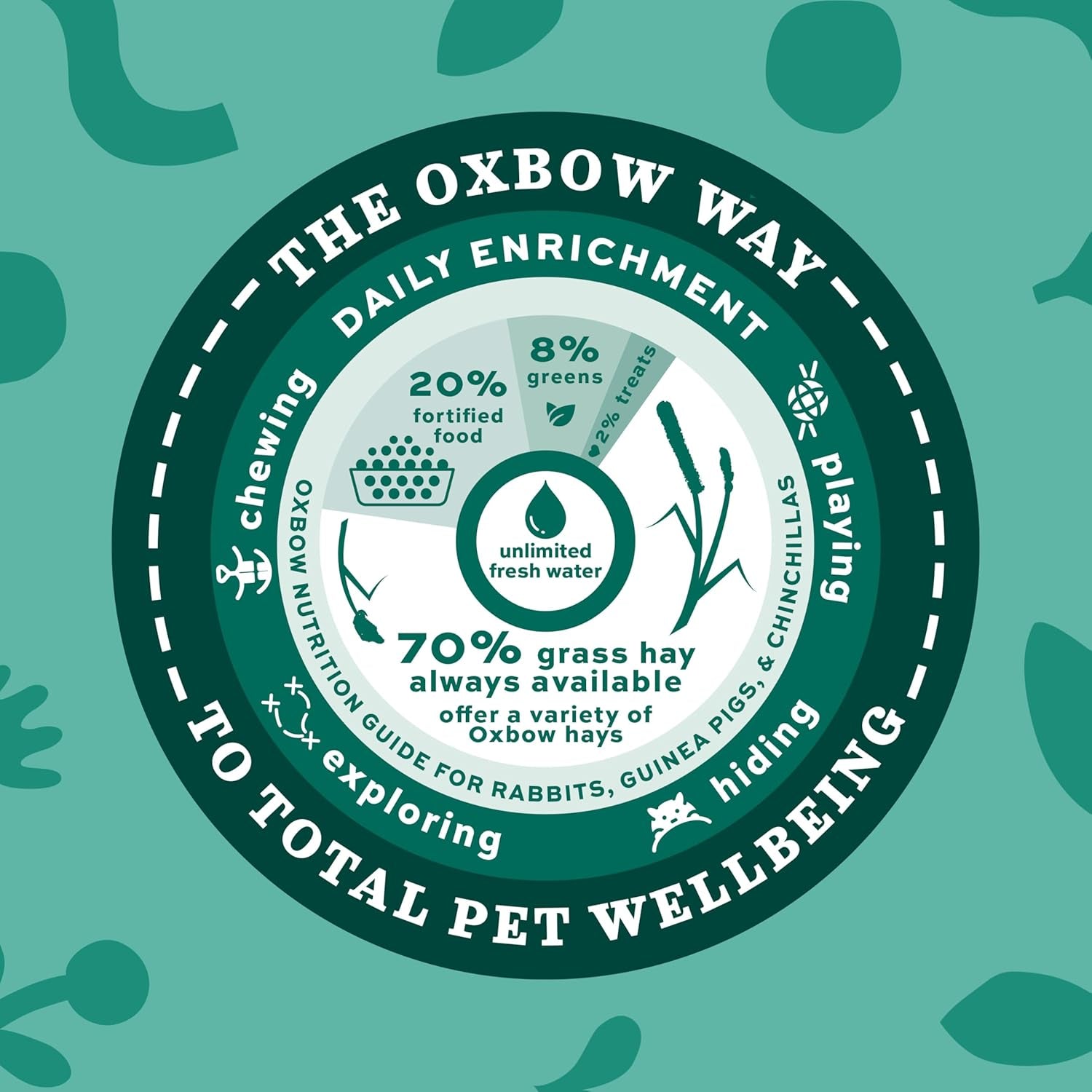 Western Timothy Hay, Guinea Pig Hay, Small Pet Bunny Supplies, All Natural Grass for Guinea Pig, Bunny, Chinchilla & Hamster,  Rabbit Supplies for Bunnies, 9 Lb Box |  Timothy Hay, Bunny Hay for Rabbits, Guinea Pigs, Bunnies and Chinchillas, Hand-Sorted, De-Dusted, Made in USA