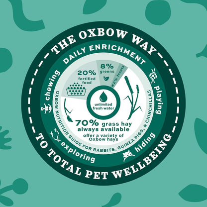 Western Timothy Hay, Guinea Pig Hay, Small Pet Bunny Supplies, All Natural Grass for Guinea Pig, Bunny, Chinchilla & Hamster,  Rabbit Supplies for Bunnies, 9 Lb Box |  Timothy Hay, Bunny Hay for Rabbits, Guinea Pigs, Bunnies and Chinchillas, Hand-Sorted, De-Dusted, Made in USA