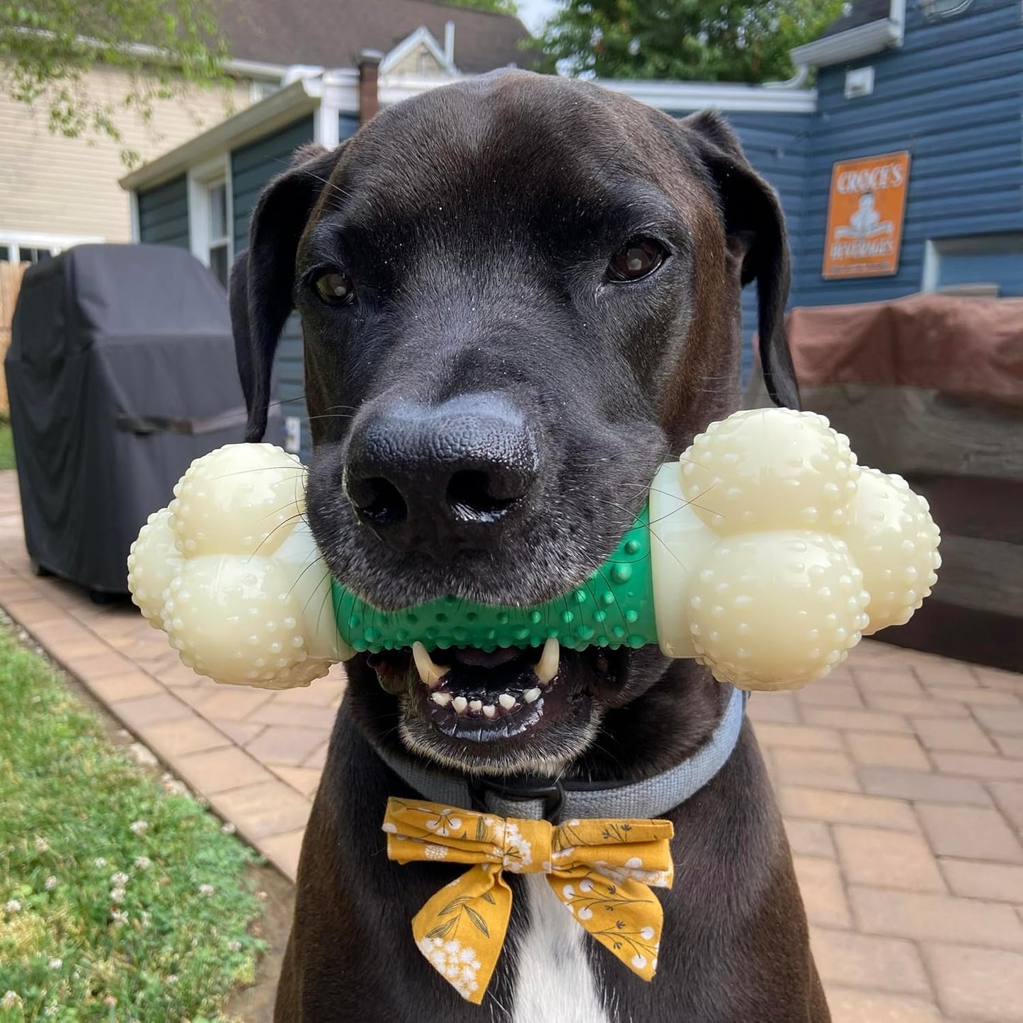Power Chew Double Action Barbell Bone Dog Chew Toy, X-Large | Durable Dog Toy for Large Dog Breeds 50+ Lbs, Teeth-Cleaning Textures, Long Lasting, Discourages Destructive Chewing