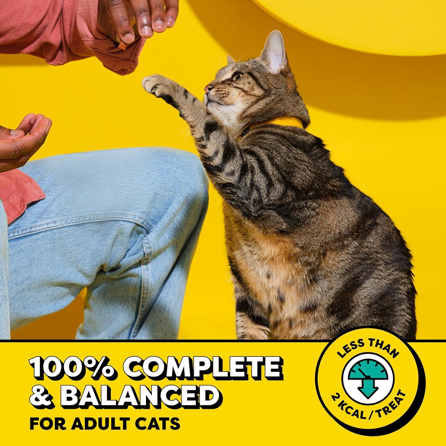 Classic Crunchy and Soft Cat Treats, Seafood Medley, 30 Oz | under 2 Calories per Treat, 100% Complete & Balanced Adult Cat Nutrition, Resealable Tub, Use as Snack, Meal, or Food Topper