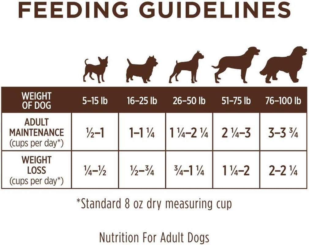 Limited Ingredient Diet Dry Dog Food, Real Salmon, 20 Lb. Bag | Single Animal Protein and Vegetable Recipe, Raw-Coated Kibble, Wild-Caught Salmon, Gentle on Sensitive Stomachs