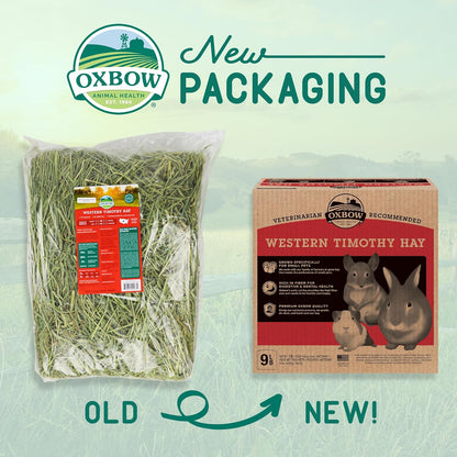 Western Timothy Hay, Guinea Pig Hay, Small Pet Bunny Supplies, All Natural Grass for Guinea Pig, Bunny, Chinchilla & Hamster,  Rabbit Supplies for Bunnies, 9 Lb Box |  Timothy Hay, Bunny Hay for Rabbits, Guinea Pigs, Bunnies and Chinchillas, Hand-Sorted, De-Dusted, Made in USA