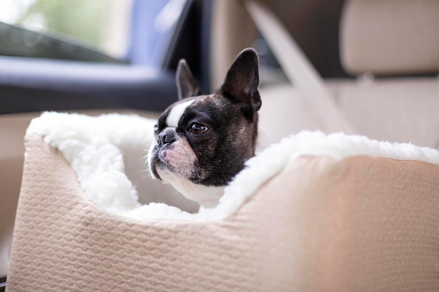 PET Products Lookout 1 Dog CAR SEAT, Birch Diamond, Small | Dog Booster Car Seat, Elevated View Helps Alleviate Travel Sickness & Fear, Removable Washable Cover, USA Family Company