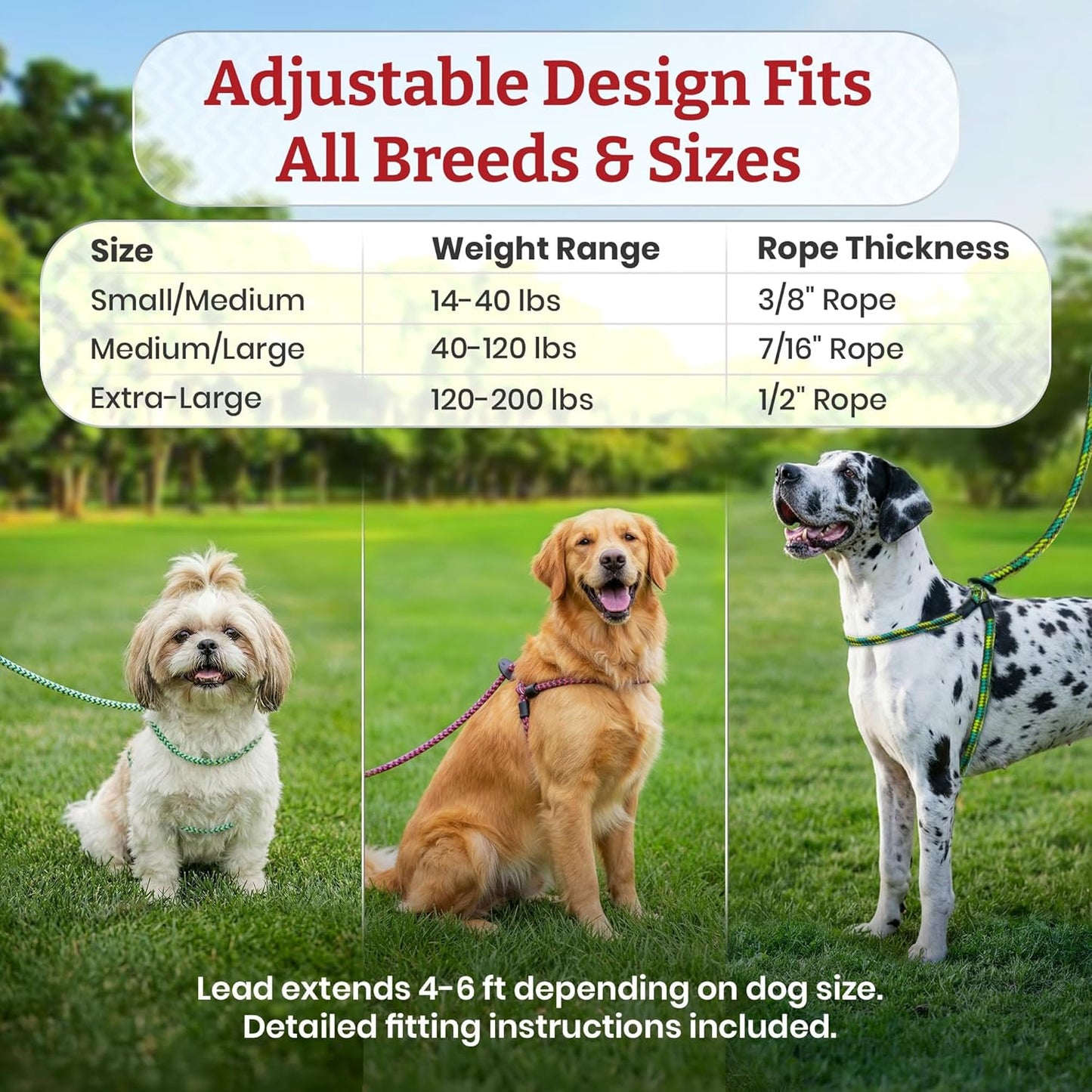 No Pull Dog Harness and Leash Set, anti Pull Dog Harness for All Breeds and Sizes, One-Piece Cushioned Rope Design Safely Prevents Escaping and Pulling (Small/Medium, Orange/Reflective)