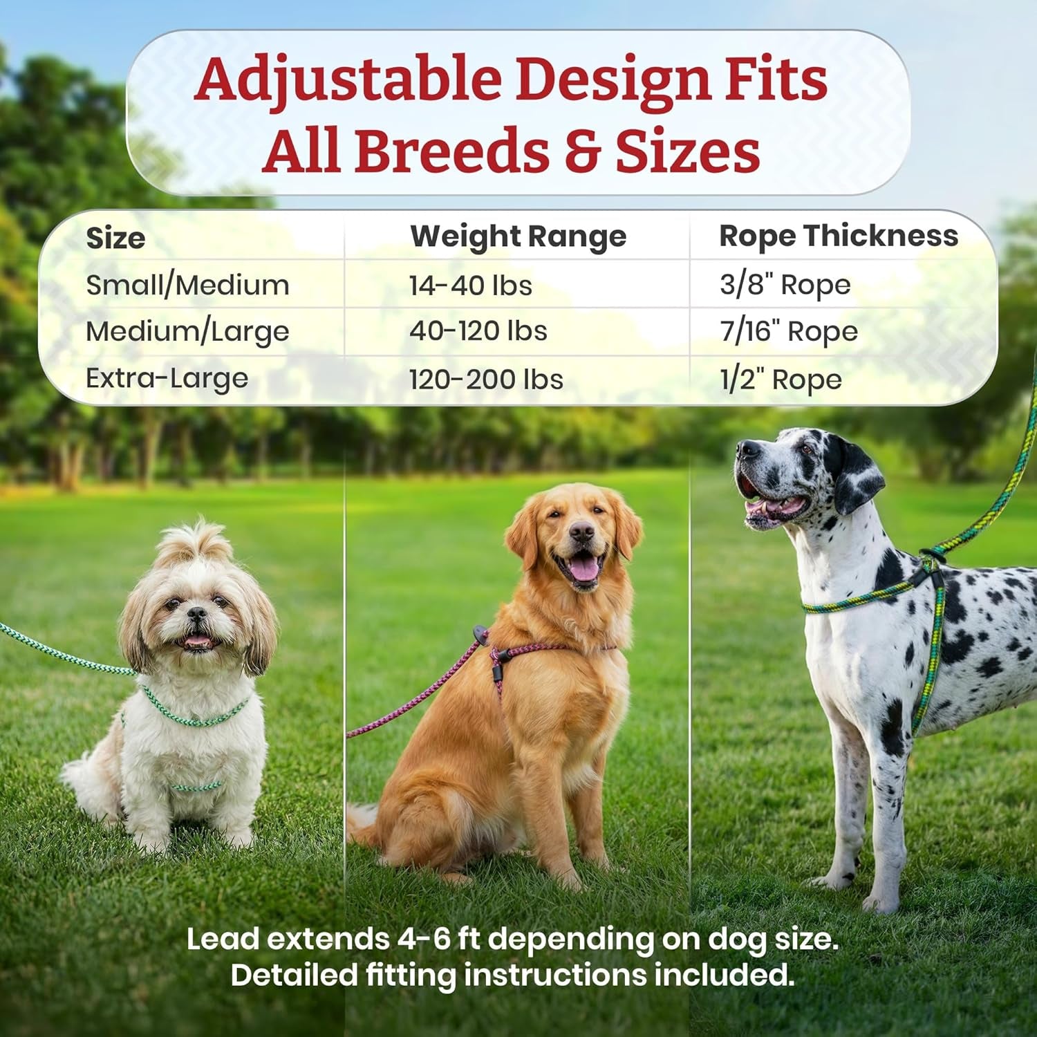 No Pull Dog Harness and Leash Set, anti Pull Dog Harness for All Breeds and Sizes, One-Piece Cushioned Rope Design Safely Prevents Escaping and Pulling (Small/Medium, Orange/Reflective)
