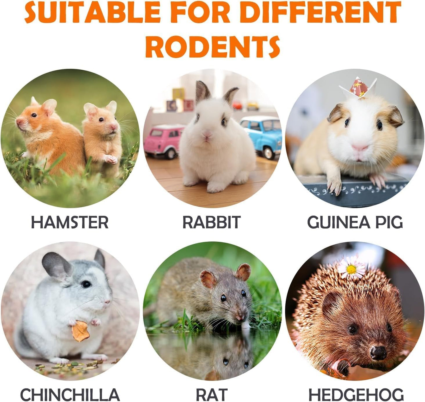 16Pcs Timothy Hay Treats - Natural Chews for Teeth - Handmade Rabbit, Chinchilla, Gerbil, Rat, Hamster Toys - Bunny & Guinea Pig