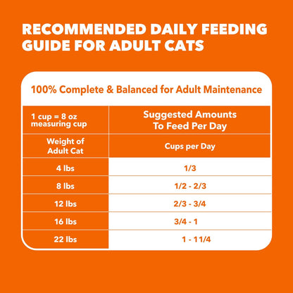 Proactive Health Hairball Dry Cat Food, Chicken & Salmon, 3.5 Lb | Veterinarian-Recommended, Reduces Hairballs, Supports Healthy Digestion, Maintains Healthy Weight, Nourishes Heart