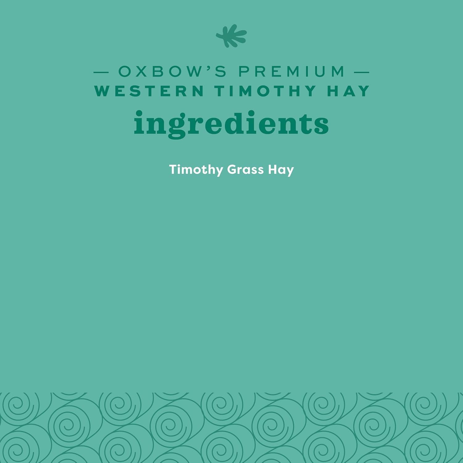 Western Timothy Hay, Guinea Pig Hay, Small Pet Bunny Supplies, All Natural Grass for Guinea Pig, Bunny, Chinchilla & Hamster,  Rabbit Supplies for Bunnies, 9 Lb Box |  Timothy Hay, Bunny Hay for Rabbits, Guinea Pigs, Bunnies and Chinchillas, Hand-Sorted, De-Dusted, Made in USA