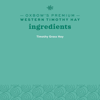Western Timothy Hay, Guinea Pig Hay, Small Pet Bunny Supplies, All Natural Grass for Guinea Pig, Bunny, Chinchilla & Hamster,  Rabbit Supplies for Bunnies, 9 Lb Box |  Timothy Hay, Bunny Hay for Rabbits, Guinea Pigs, Bunnies and Chinchillas, Hand-Sorted, De-Dusted, Made in USA
