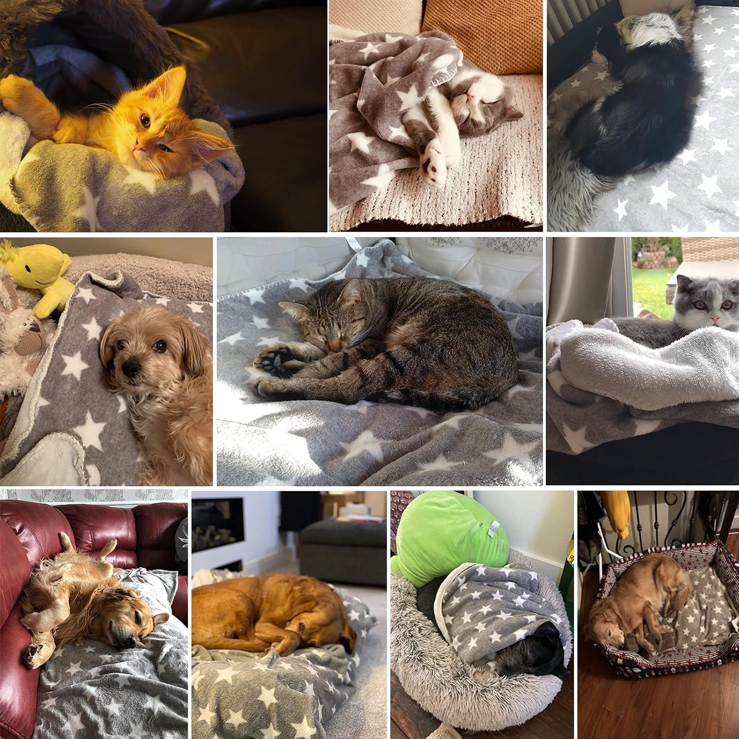 Dog Blanket Double Layer 30 X 40 Inches, Micro Fleece Plush Warm Puppy Blanket Bed Cover Protection Pet Cat Kitten Flannel Throw Blanket