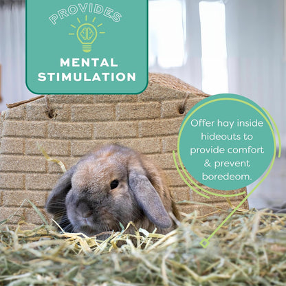 Western Timothy Hay, Guinea Pig Hay, Small Pet Bunny Supplies, All Natural Grass for Guinea Pig, Bunny, Chinchilla & Hamster,  Rabbit Supplies for Bunnies, 9 Lb Box |  Timothy Hay, Bunny Hay for Rabbits, Guinea Pigs, Bunnies and Chinchillas, Hand-Sorted, De-Dusted, Made in USA