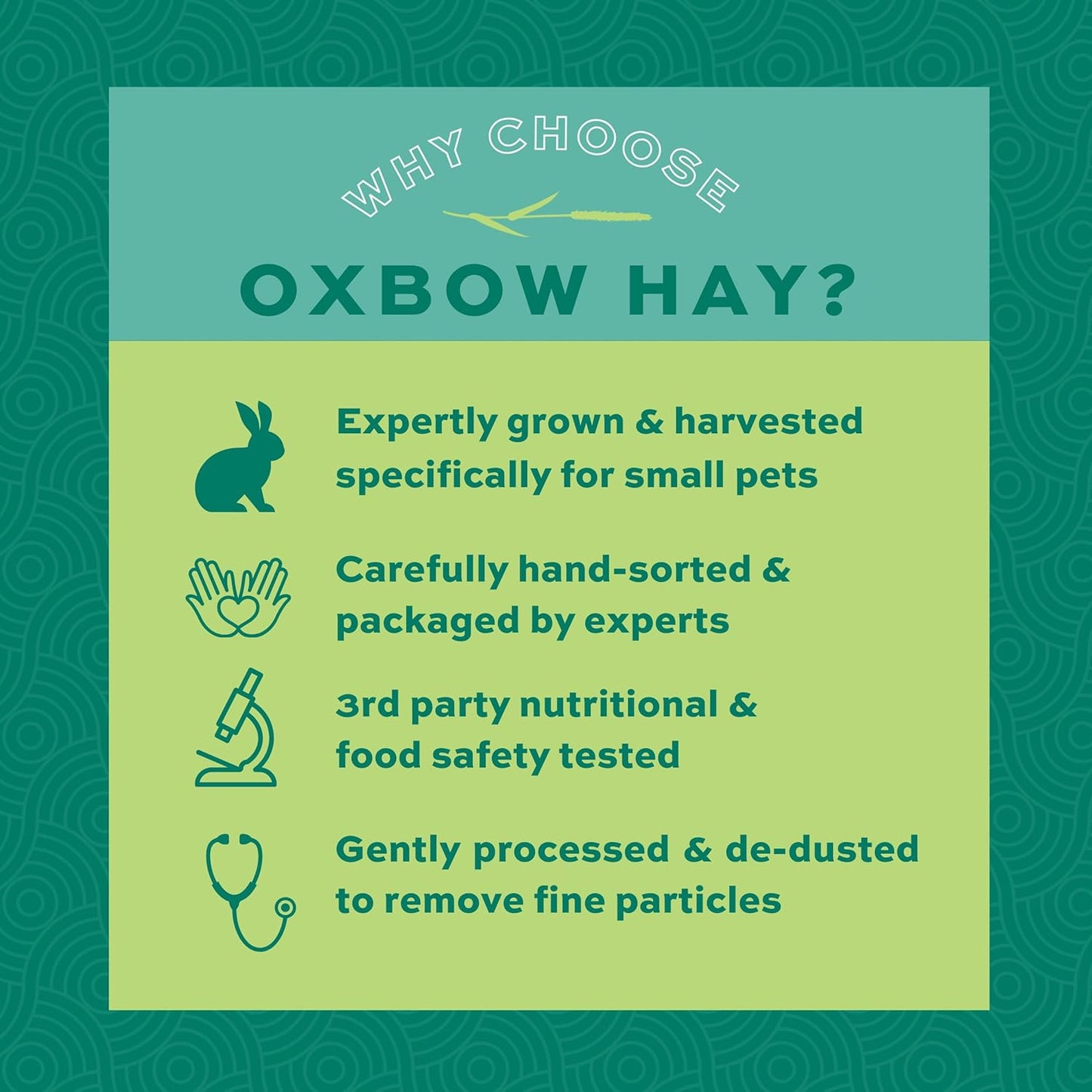 Western Timothy Hay, Guinea Pig Hay, Small Pet Bunny Supplies, All Natural Grass for Guinea Pig, Bunny, Chinchilla & Hamster,  Rabbit Supplies for Bunnies, 9 Lb Box |  Timothy Hay, Bunny Hay for Rabbits, Guinea Pigs, Bunnies and Chinchillas, Hand-Sorted, De-Dusted, Made in USA